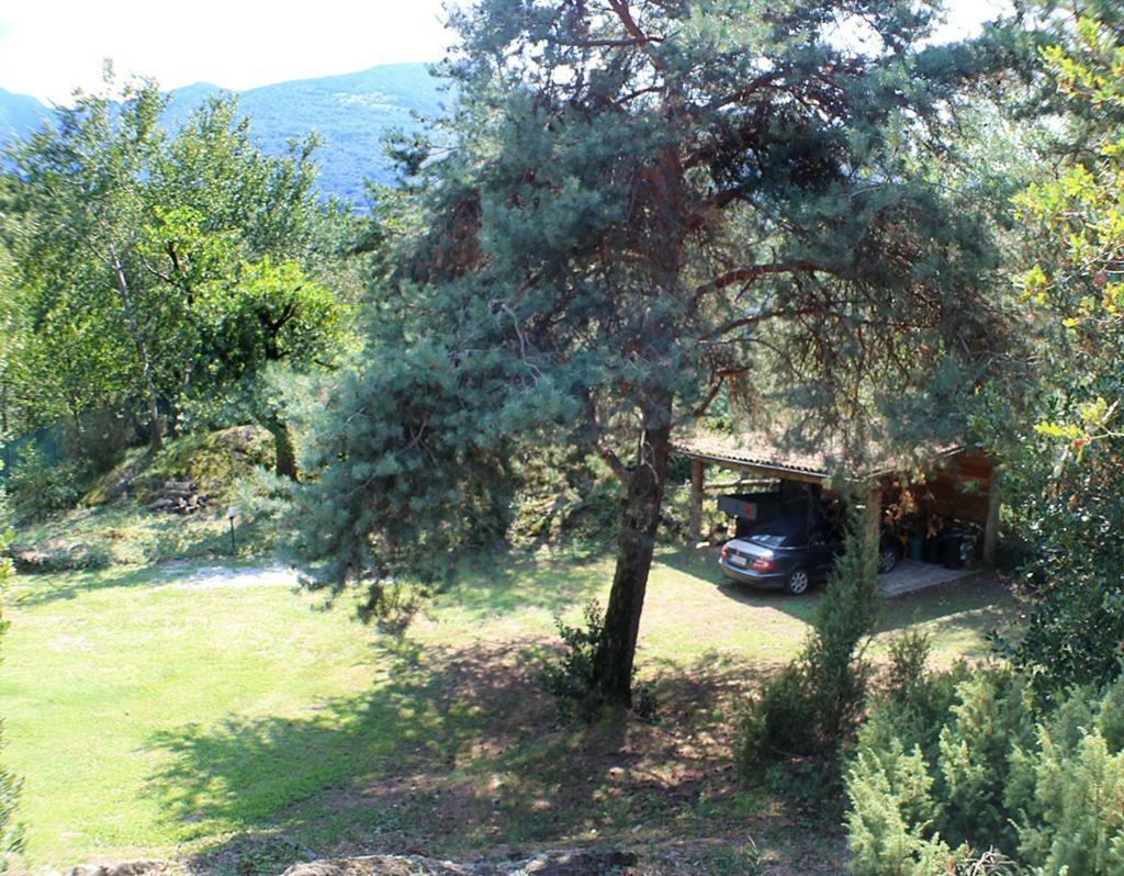 Villa Erica Con Piscina Privata Sul Lago Di Como 科利科 外观 照片